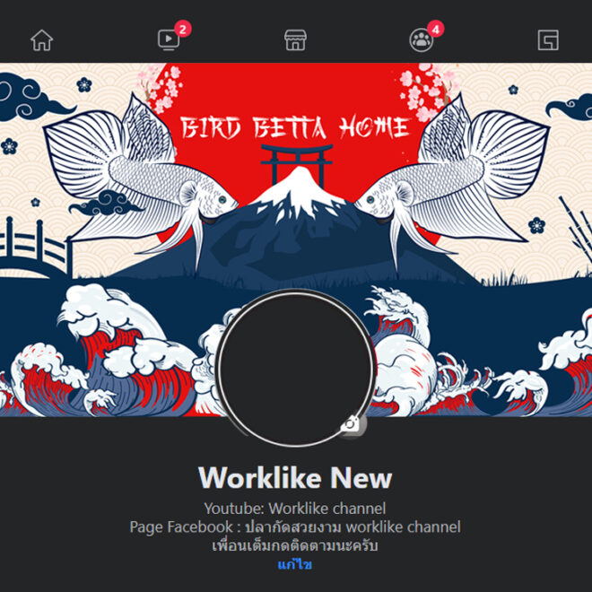 หน้าปก Facebook ปลากัดสวยงาม สร้างเอกลักษณ์ตามสไตล์ที่คุณต้องการ